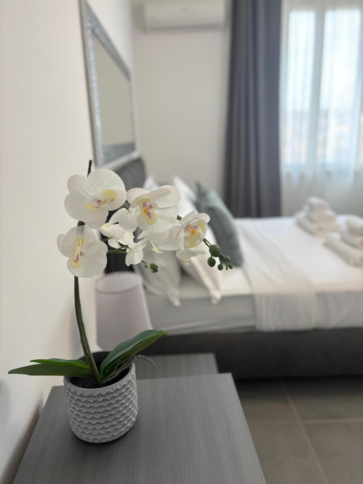 Apartment Travel House Rom